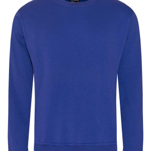Pro RTX Pro Sweatshirt, 15 Colour Options