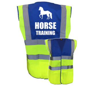 Premium horse training