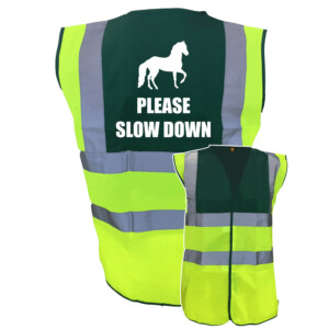 Please slow down (horse)