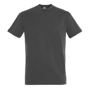 Graphite t-shirt