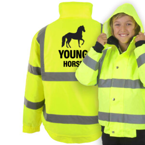 Young horse yellow bomber
